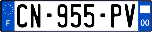 CN-955-PV