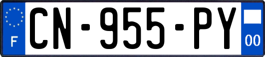 CN-955-PY