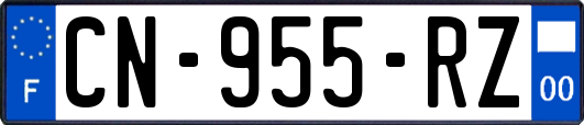 CN-955-RZ