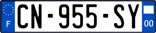 CN-955-SY