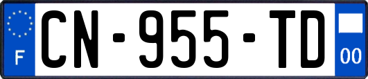 CN-955-TD