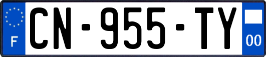 CN-955-TY
