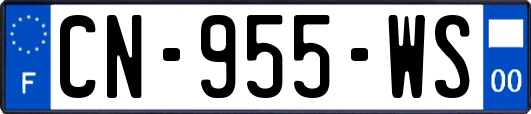 CN-955-WS
