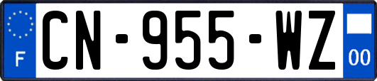 CN-955-WZ