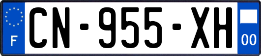 CN-955-XH