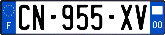 CN-955-XV