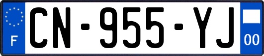 CN-955-YJ