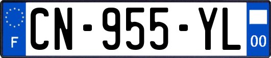 CN-955-YL