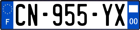 CN-955-YX