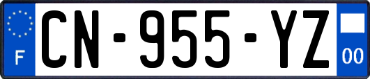 CN-955-YZ