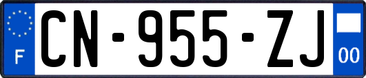 CN-955-ZJ