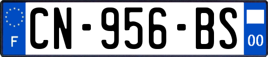 CN-956-BS