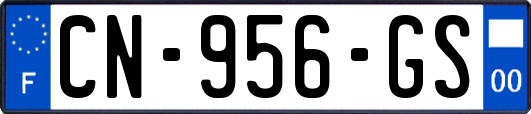 CN-956-GS
