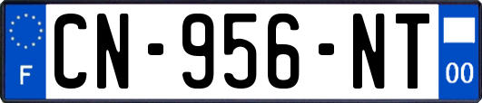 CN-956-NT