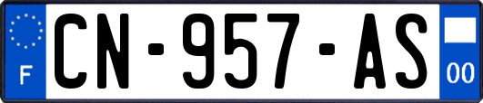 CN-957-AS