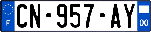 CN-957-AY