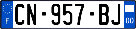 CN-957-BJ