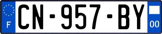 CN-957-BY