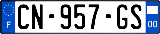 CN-957-GS