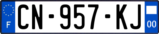 CN-957-KJ