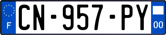 CN-957-PY