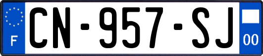 CN-957-SJ
