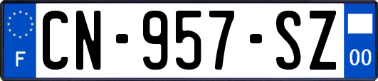 CN-957-SZ