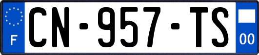 CN-957-TS