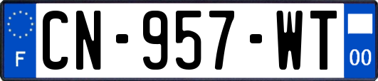 CN-957-WT