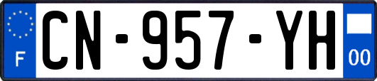 CN-957-YH