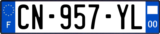 CN-957-YL