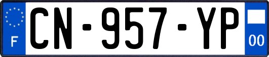 CN-957-YP
