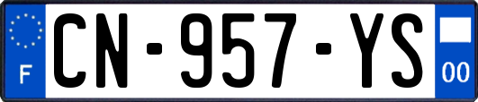 CN-957-YS