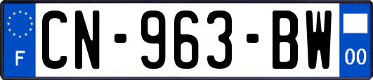 CN-963-BW