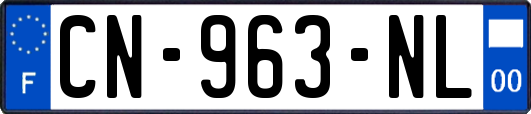 CN-963-NL