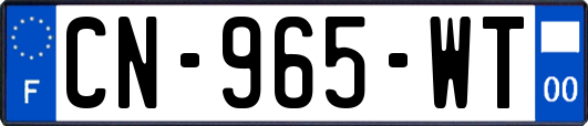 CN-965-WT
