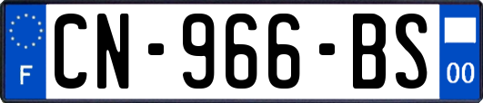 CN-966-BS