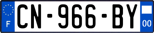 CN-966-BY