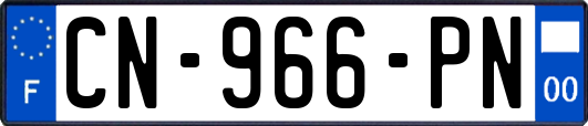 CN-966-PN