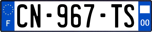 CN-967-TS