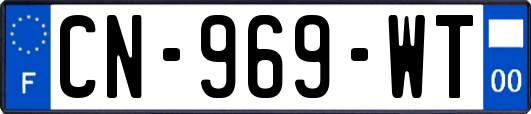 CN-969-WT