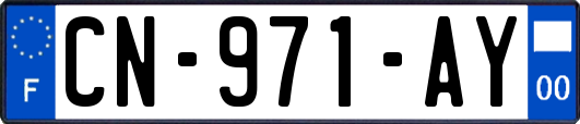 CN-971-AY