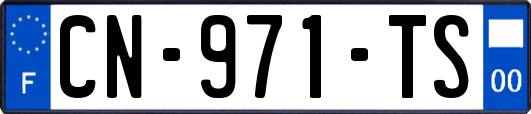 CN-971-TS