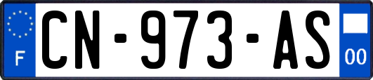 CN-973-AS