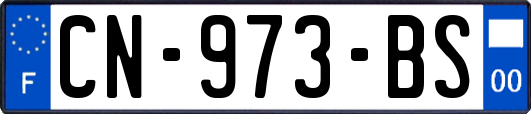 CN-973-BS