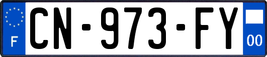 CN-973-FY