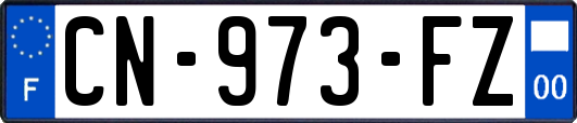 CN-973-FZ