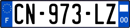 CN-973-LZ