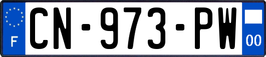 CN-973-PW