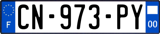 CN-973-PY